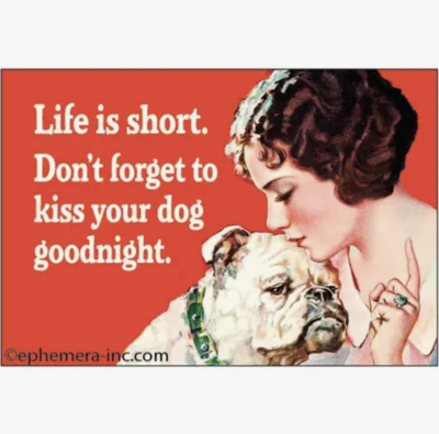 Ephemera Life Is Short. Don't Forget To Kiss Magnet 19380