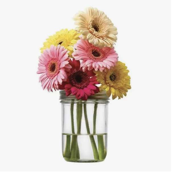 Fox Run Jarware Flower Grid 82604