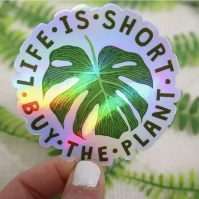 Ace the Pitmatian Life is Short Buy the Plant Holographic Sticker