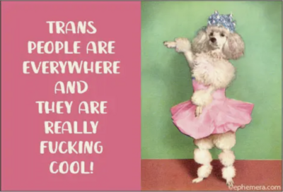 Ephemera Trans People Are Everywhere Magnet 19242