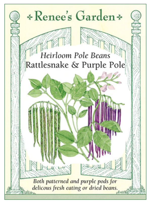 Renee's Bean Pole Rattlesnake & Purple 5930