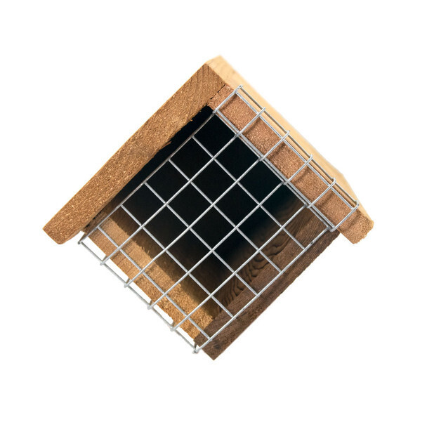 Crown Bees Bird Guard Station