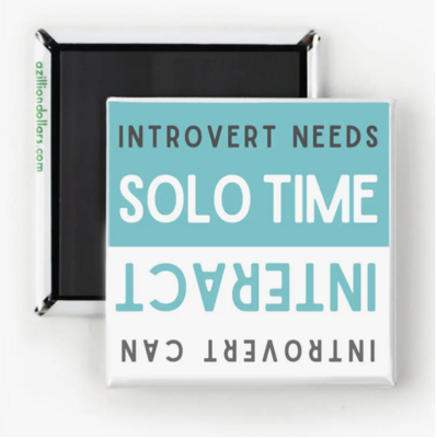 A Zillion Dollars Introvert Needs Solo Time Magnet M2042