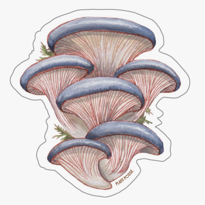 Plant Posse Oyster Mushroom Sticker
