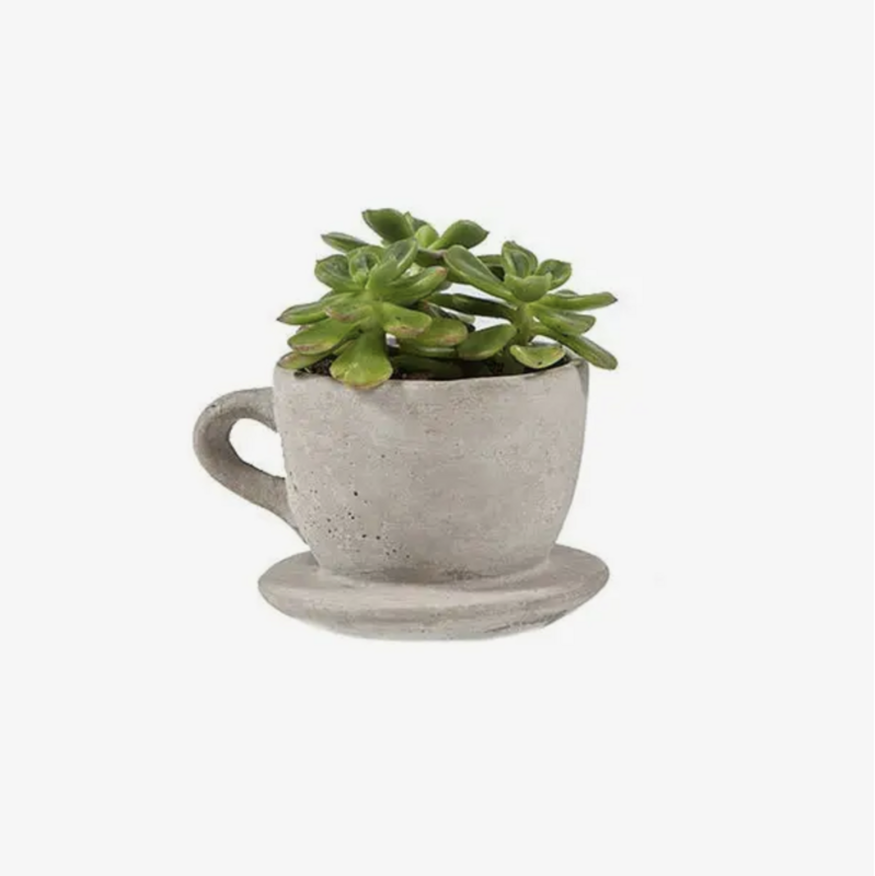 VV Concrete Tea & Coffee Cup Planter CE-CUP-S