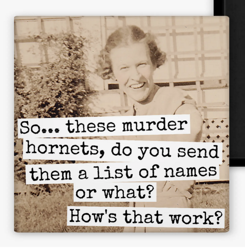 RRS So... These Murder Hornets, Do You Send Them A List Magnet (m369)