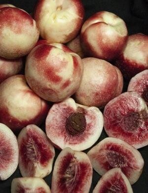 DWN Miniature Nectarine Arctic Sprite on Lovell $55.99