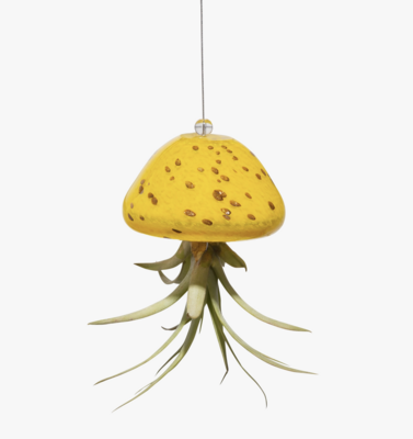 ApricotMint Jellyfish Hand Blown Art Glass Yellow Air Plant Holder