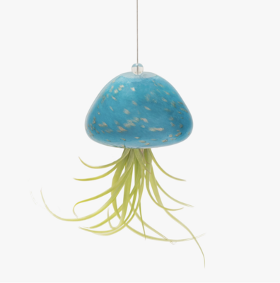 ApricotMint Jellyfish Hand Blown Art Glass Teal Air Plant Holder