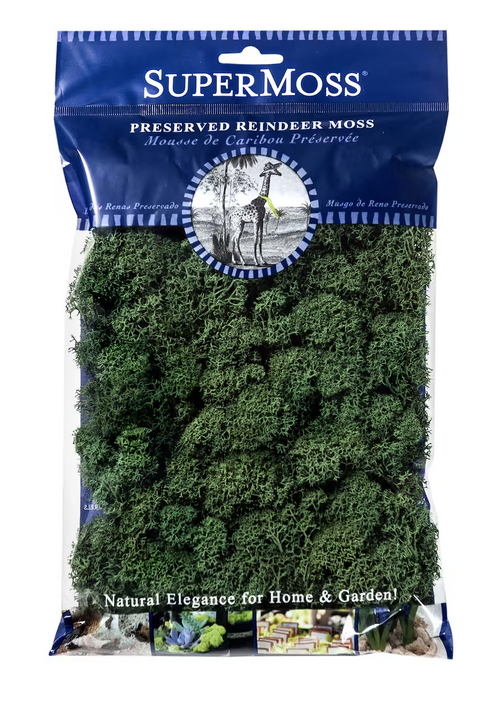 DTE Supermoss Reindeer Moss Forest Green 4oz 21729