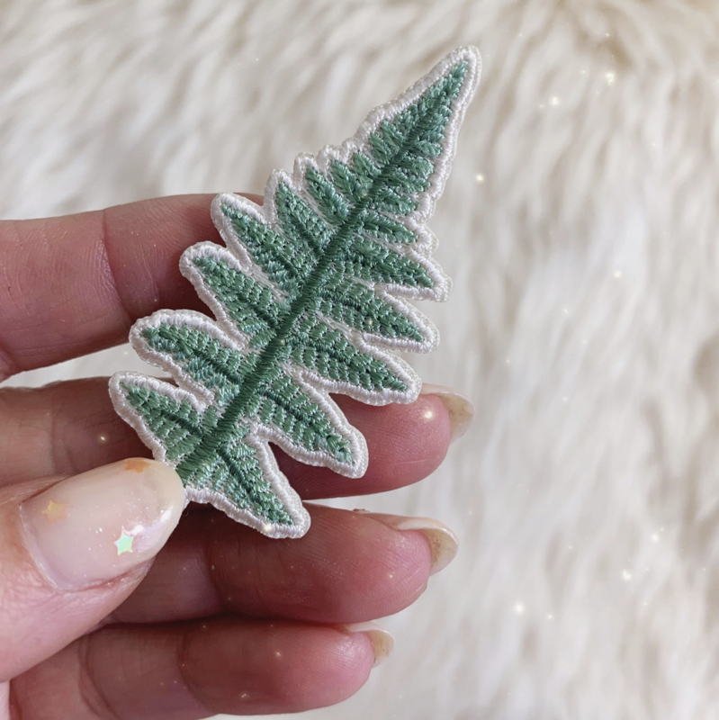 Wildflower Co Fern Plant Patch