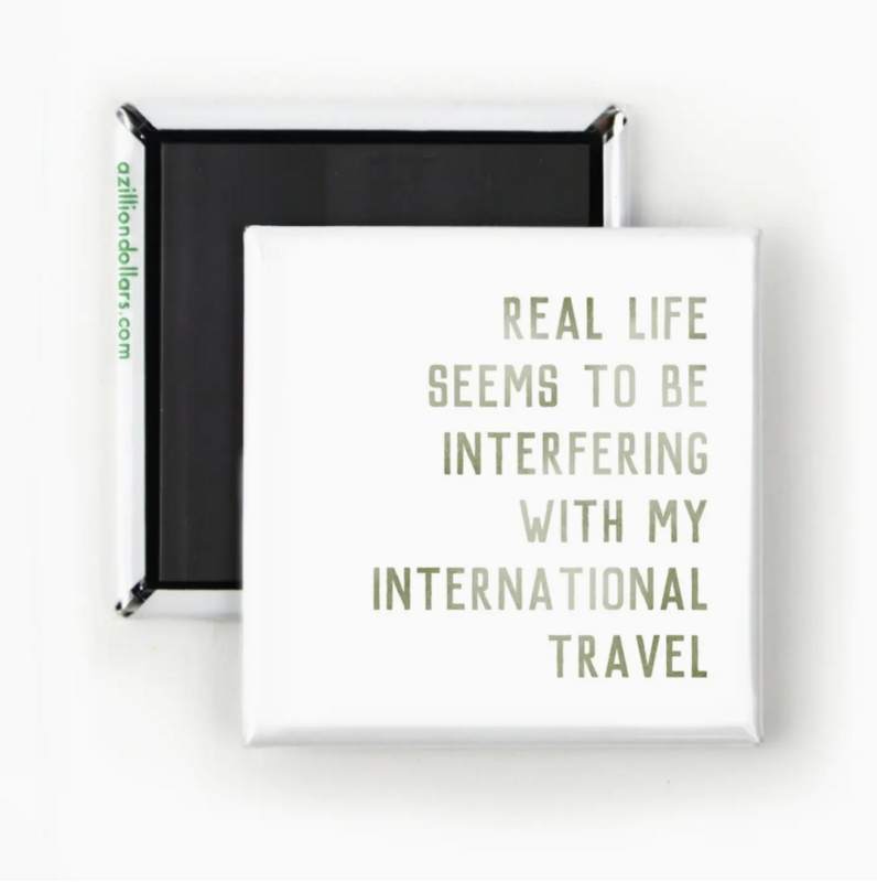 A Zillion Dollars Real Life Seems To Be Interfering Magnet M0217