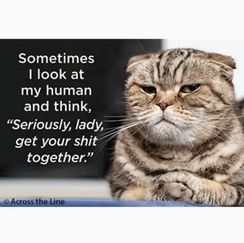 Ephemera  Sometimes I Look At My Human Magnet 19799