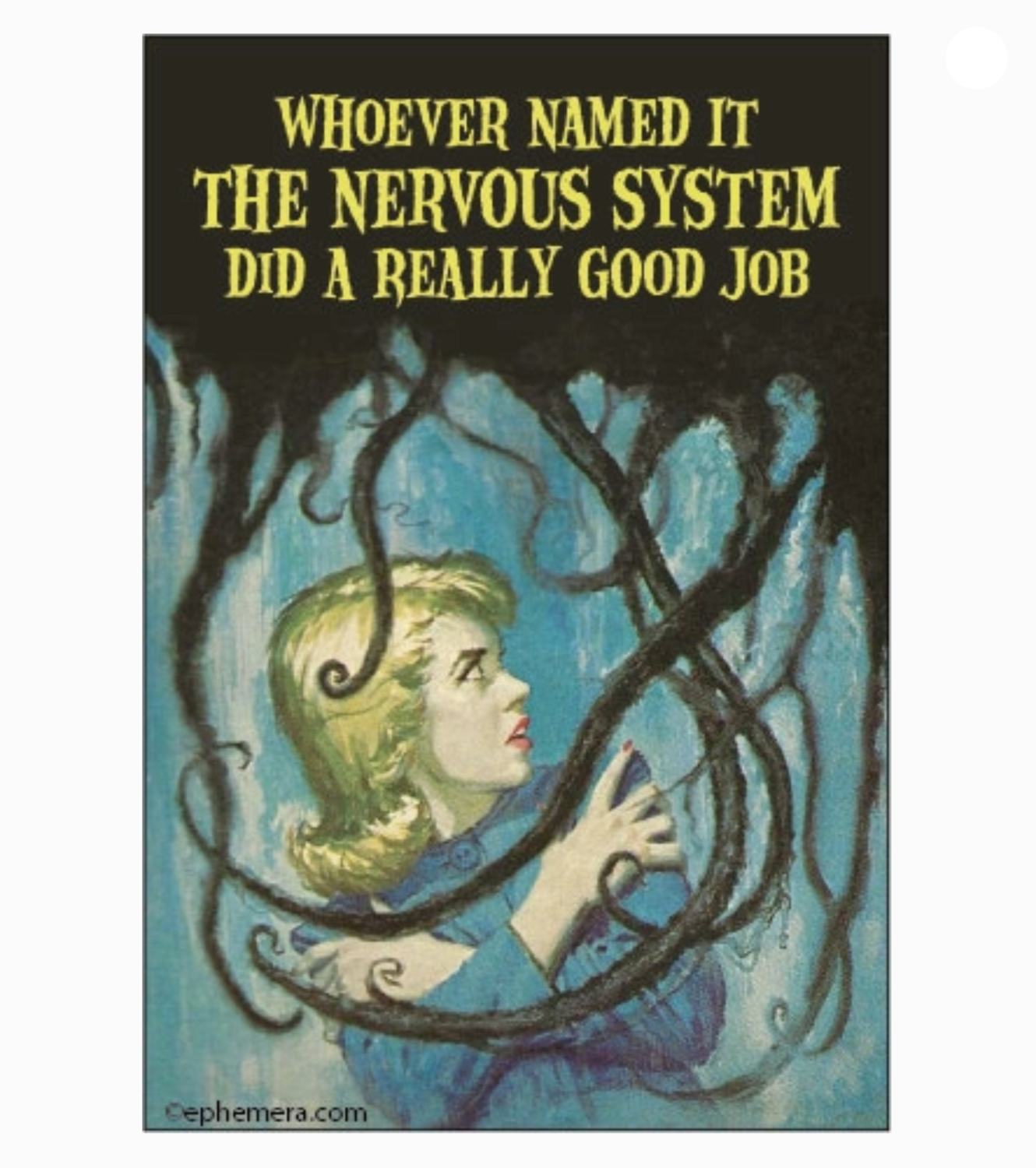 Ephemera Whoever Named It The Nervous System Magnet 19213