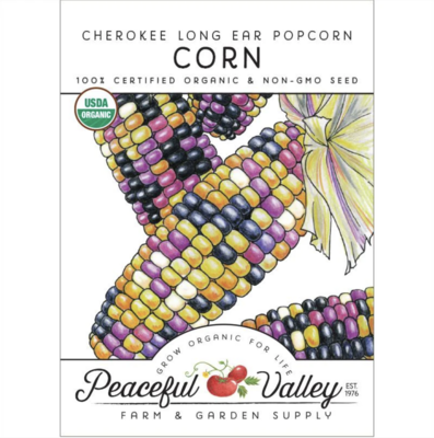 PV Corn Cherokee Long Ear Popcorn Org SNV8530