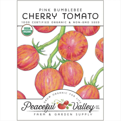 PV Tomato Cherry Pink Bumblebee Org SNV8634