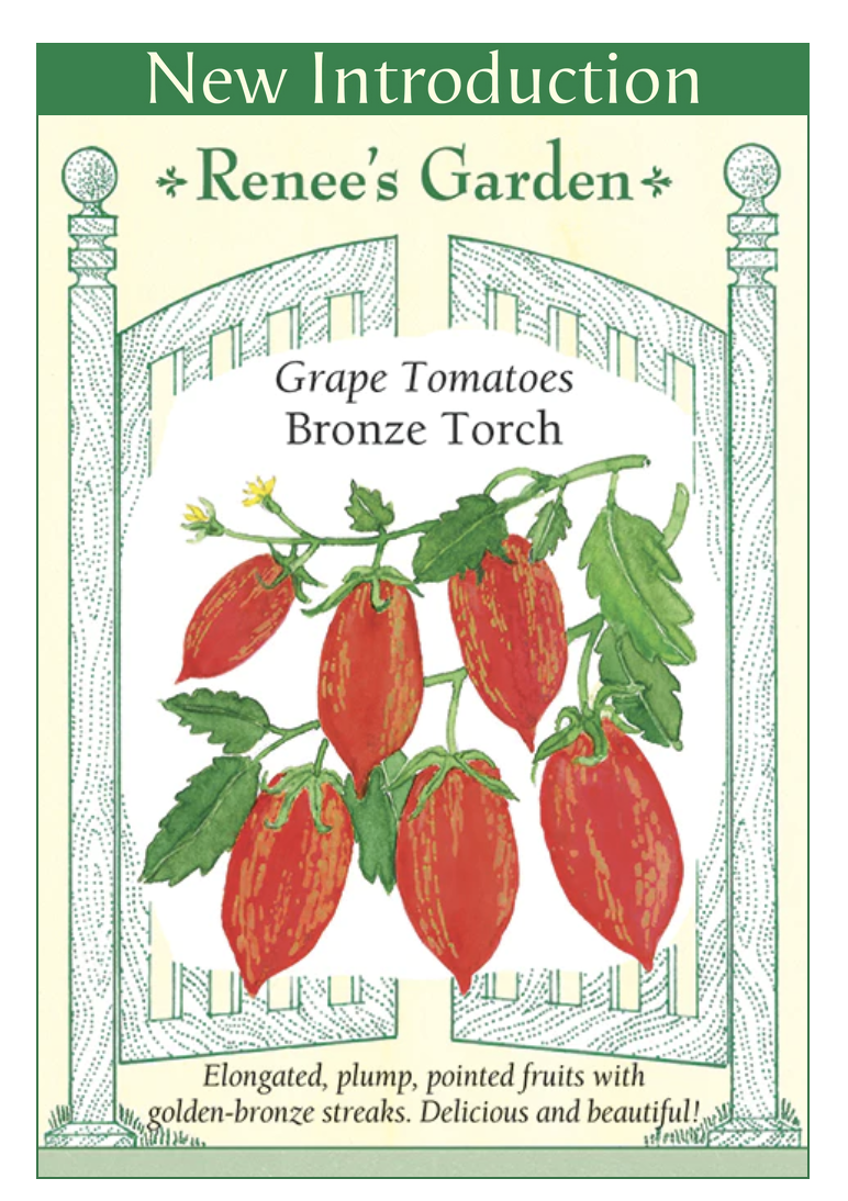 Renee's Tomato Cherry Bronze Torch 5683