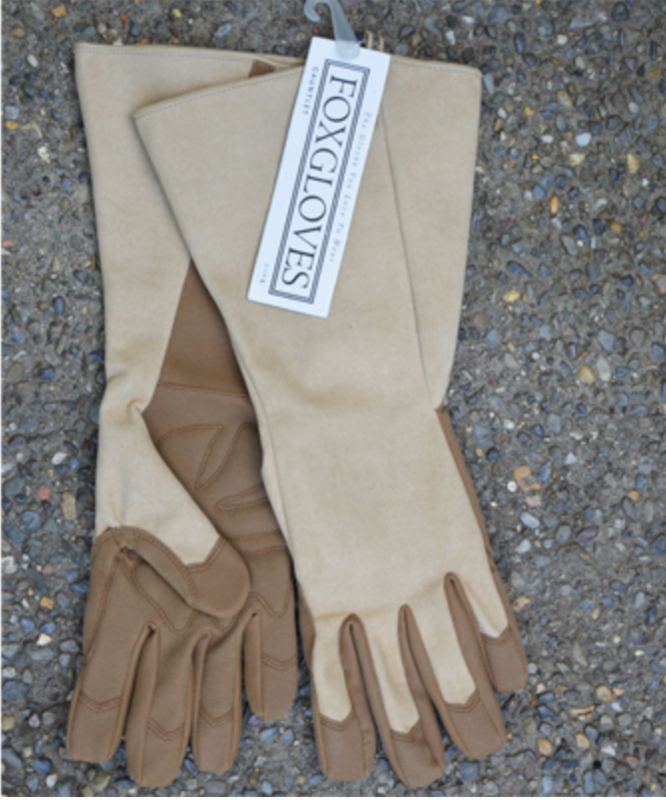 Kinsman Foxgloves Gauntlet - Medium