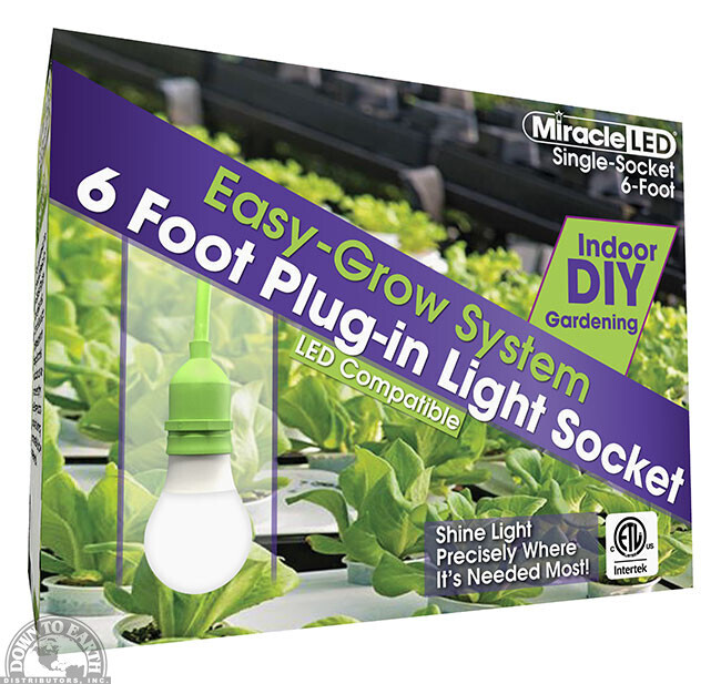 DTE Single Socket Cord 6' (60501)