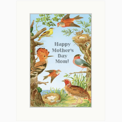 Lucca Paperworks Mother Birds 5x7 Greeting Card