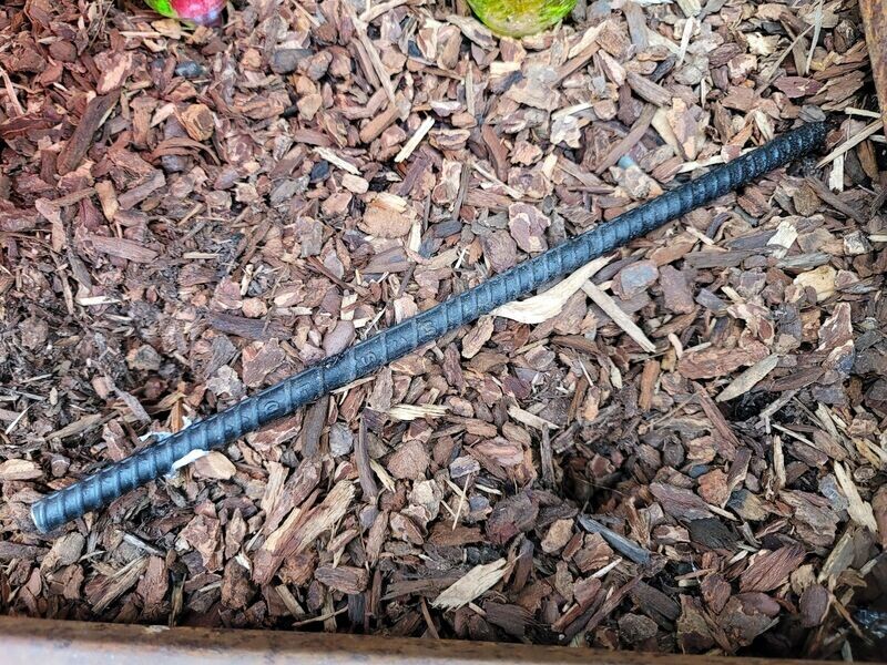 IAG 1 ft Rebar Garden Stake 3/8" diam (flat black)