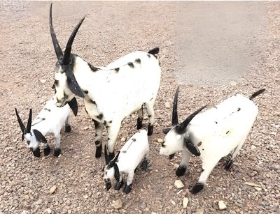 Ironworks Goat (S)