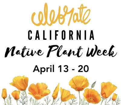 CELEBRATE NATIVE PLANT WEEK: APRIL 13-20!