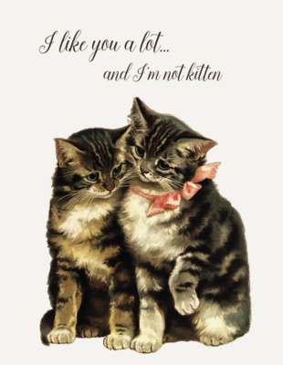 PFD I Like You And I'm Not Kitten A2 CA2-INK