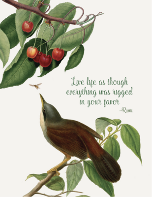 PFD Live Life As Though Everything... 5x7 Card C-LLA