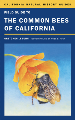 Field Guide To The Common Bees of California - Book