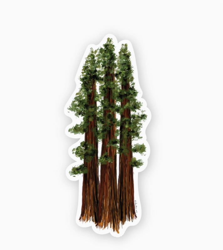 Doodles Ink California Redwoods Sticker ST013