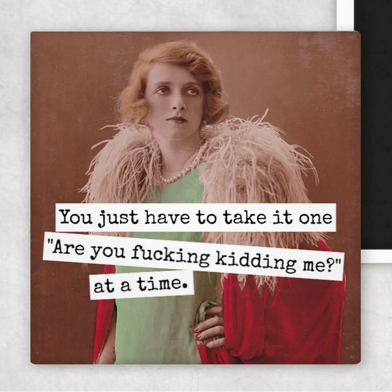 RRS You Just Have To Take it Magnet (m205)