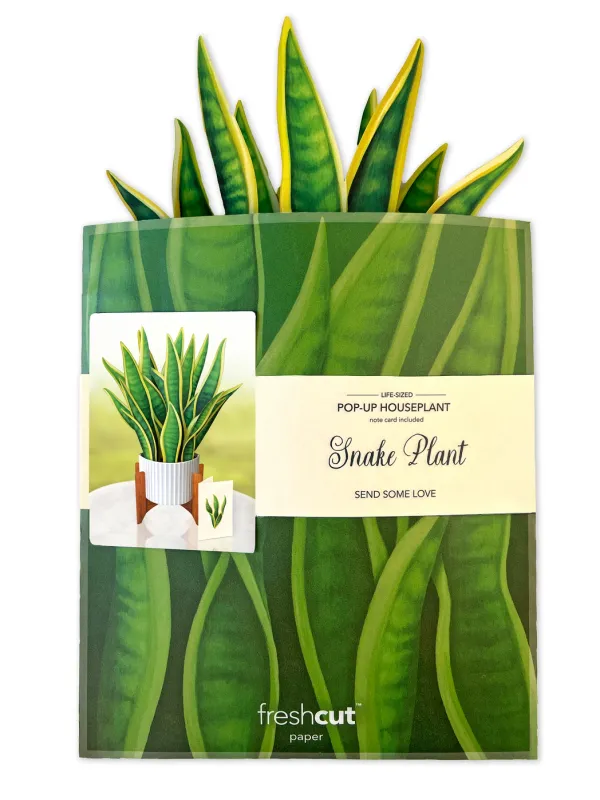 FreshCut Paper Snake Plant  Pop Up Greeting Card - 7301