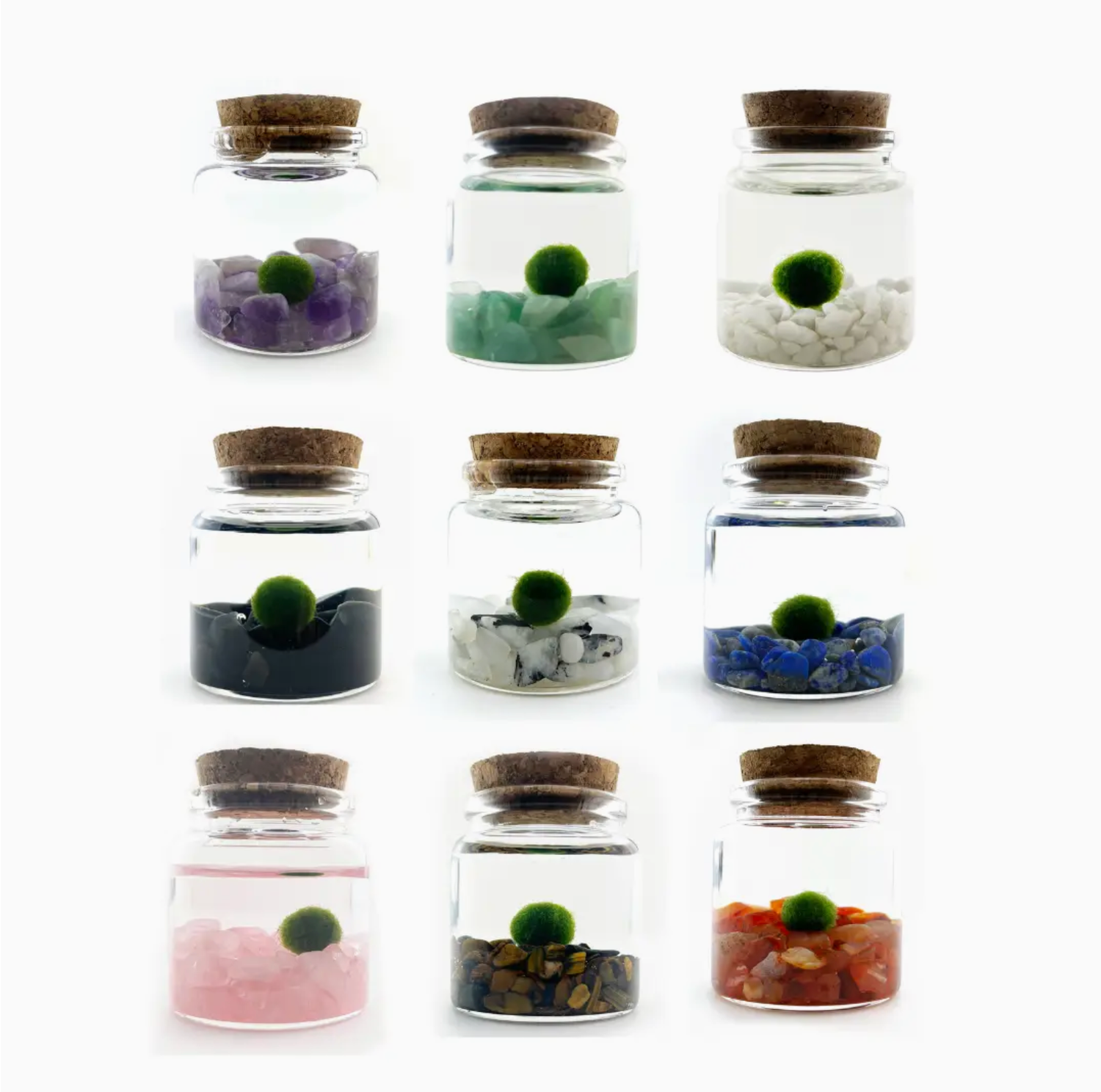Moss Amigos Small/ Rico Moss Ball Jar Stones