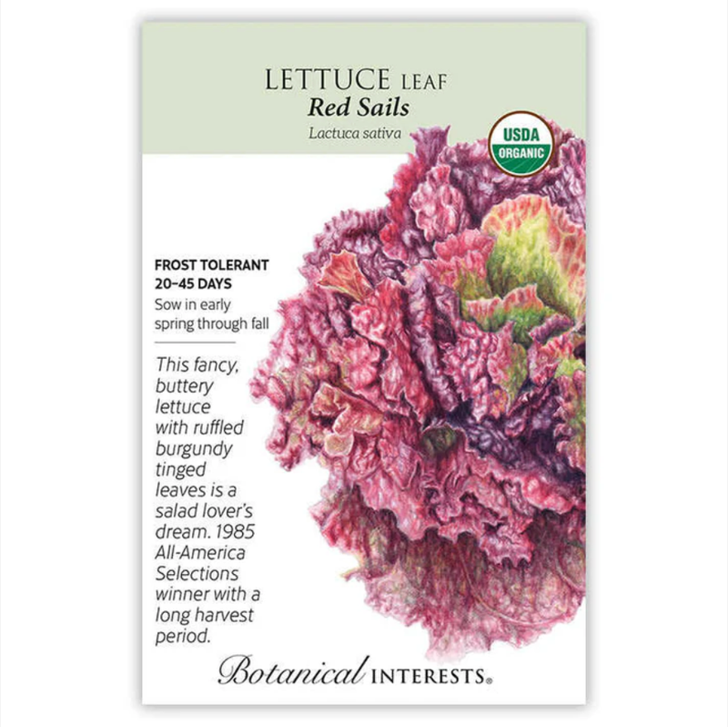 BI Lettuce Leaf Red Sails Org 3103