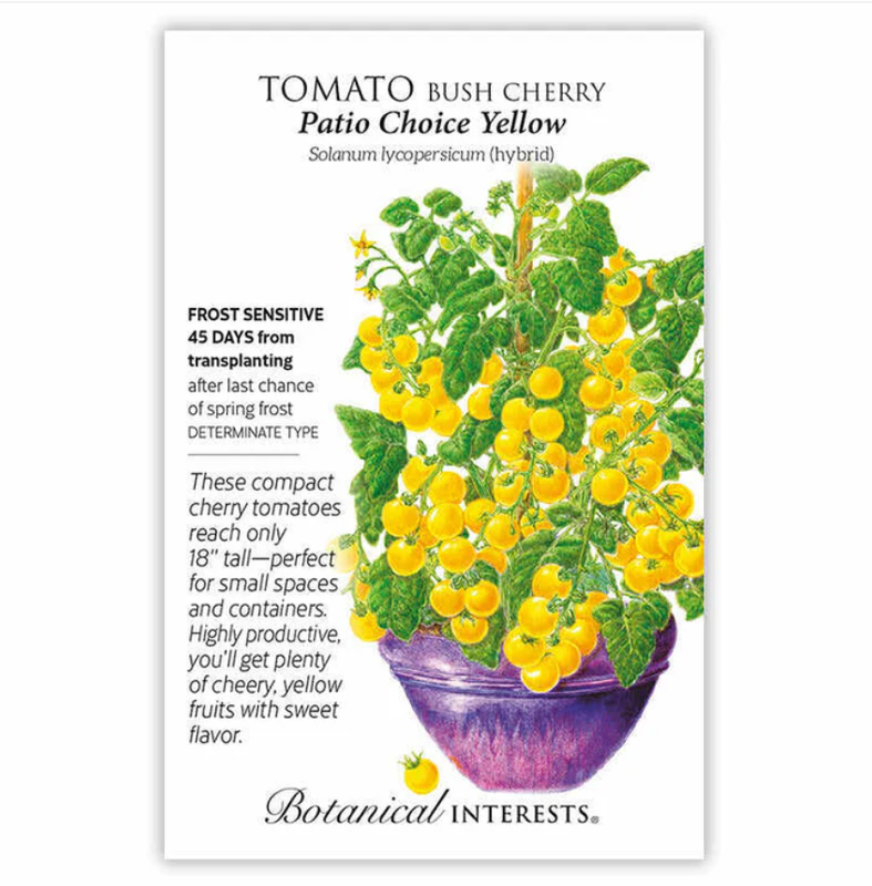 BI Tomato Cherry Patio Yellow 0111 