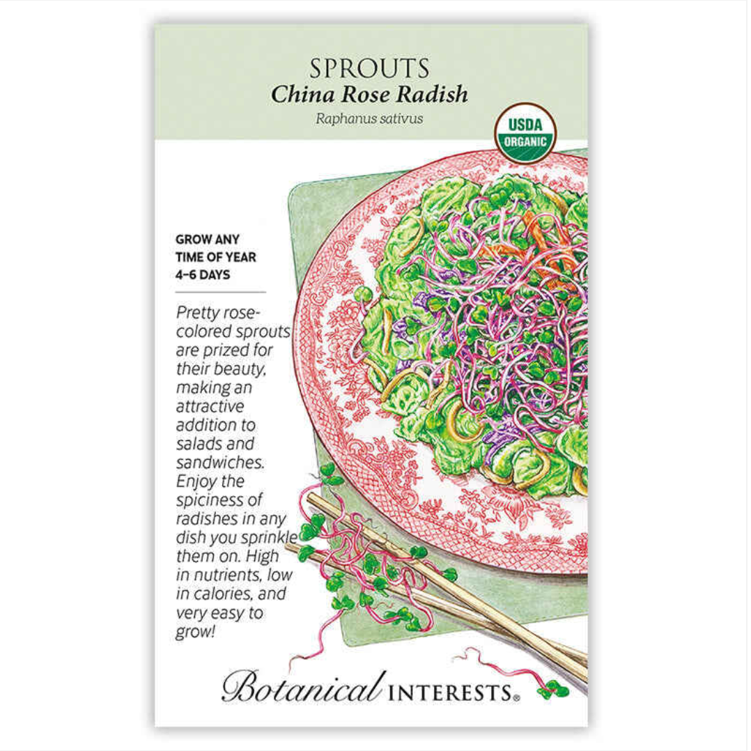 BI Sprouts Radish China Rose Org 7804