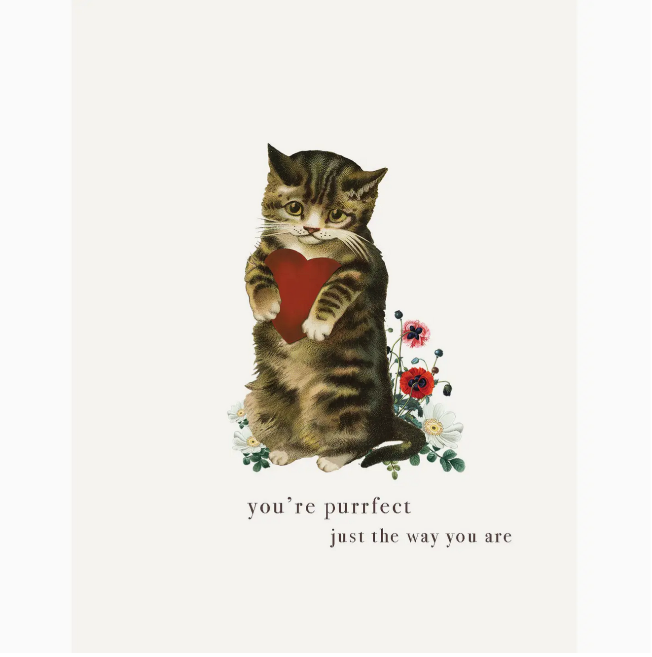 PFD You're Purrfect, Just the Way You Are A2 Card CA2-YP