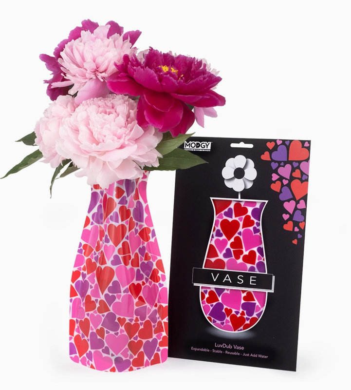 Modgy Expandable Vase - LuvDub