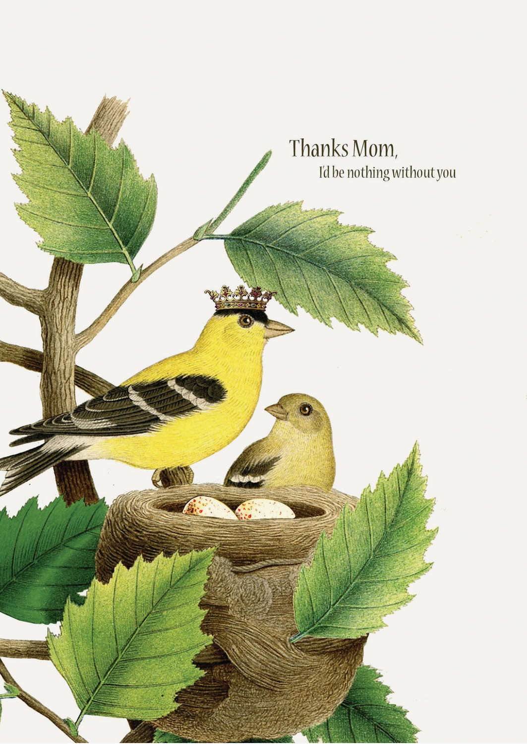 PFD Thanks Mom, I'd Be  Nothing Without You 5x7 Card C-IBN