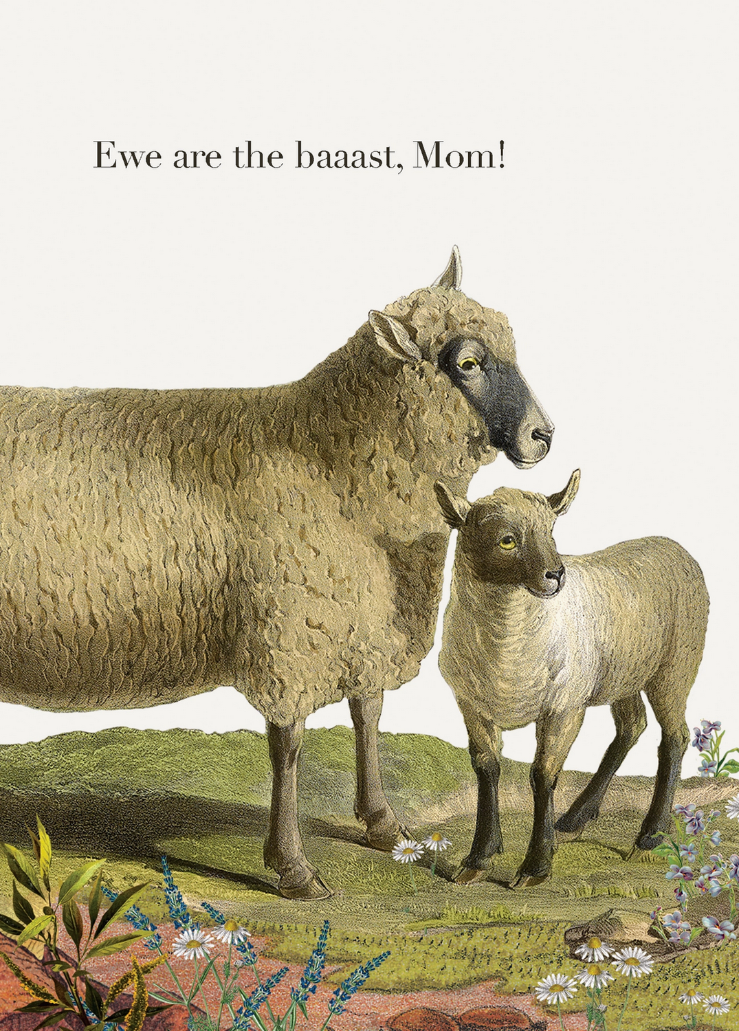 PFD Ewe are the baaast, Mom! 5x7 Greeting Card C-EBM