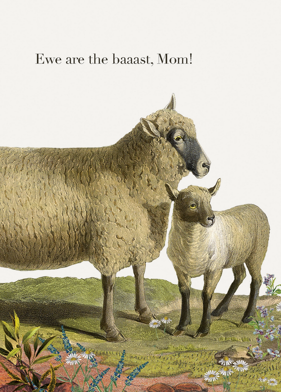 PFD Ewe are the baaast, Mom! 5x7 Greeting Card C-EBM