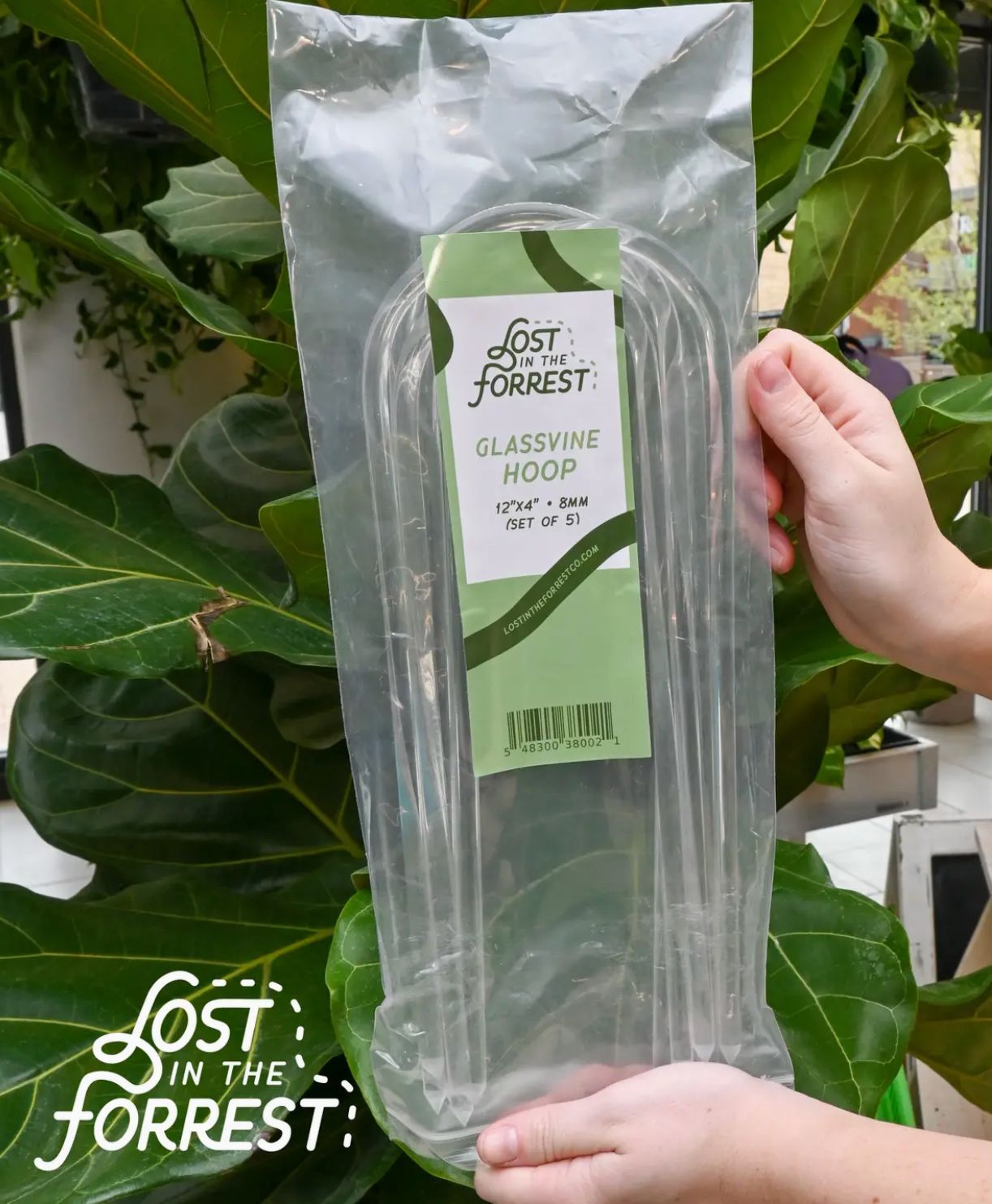 Lost In The Forrest Glassvine Plant Support Hoop - Set of 5