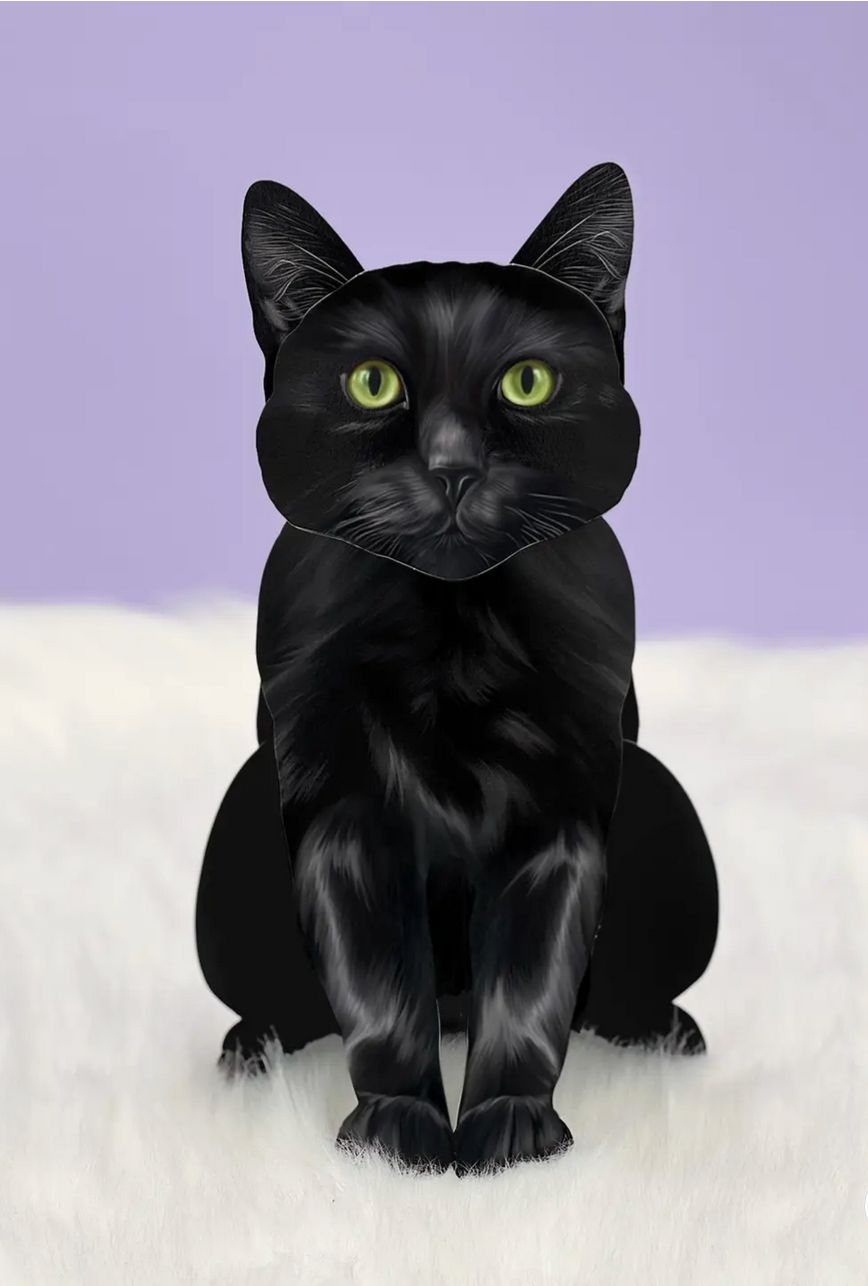 FreshCut Paper Black Cat Pop Up Greeting Card - 1015