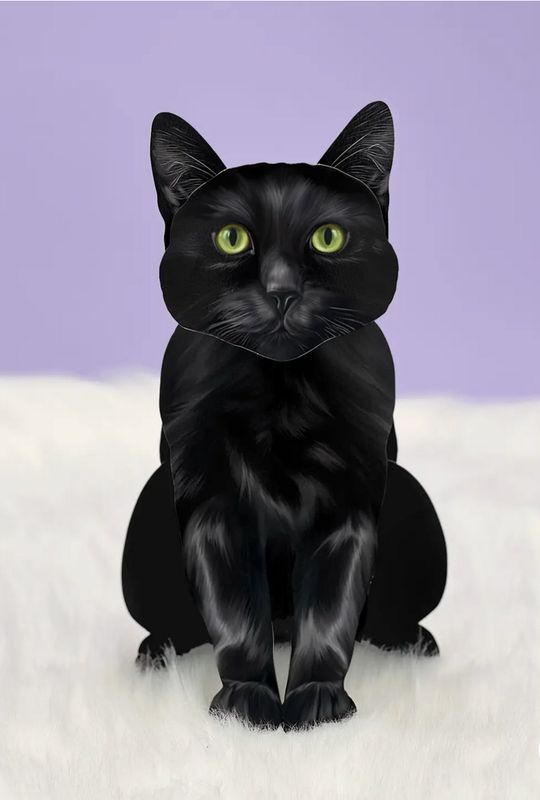 FreshCut Paper Black Cat Pop Up Greeting Card - 1015