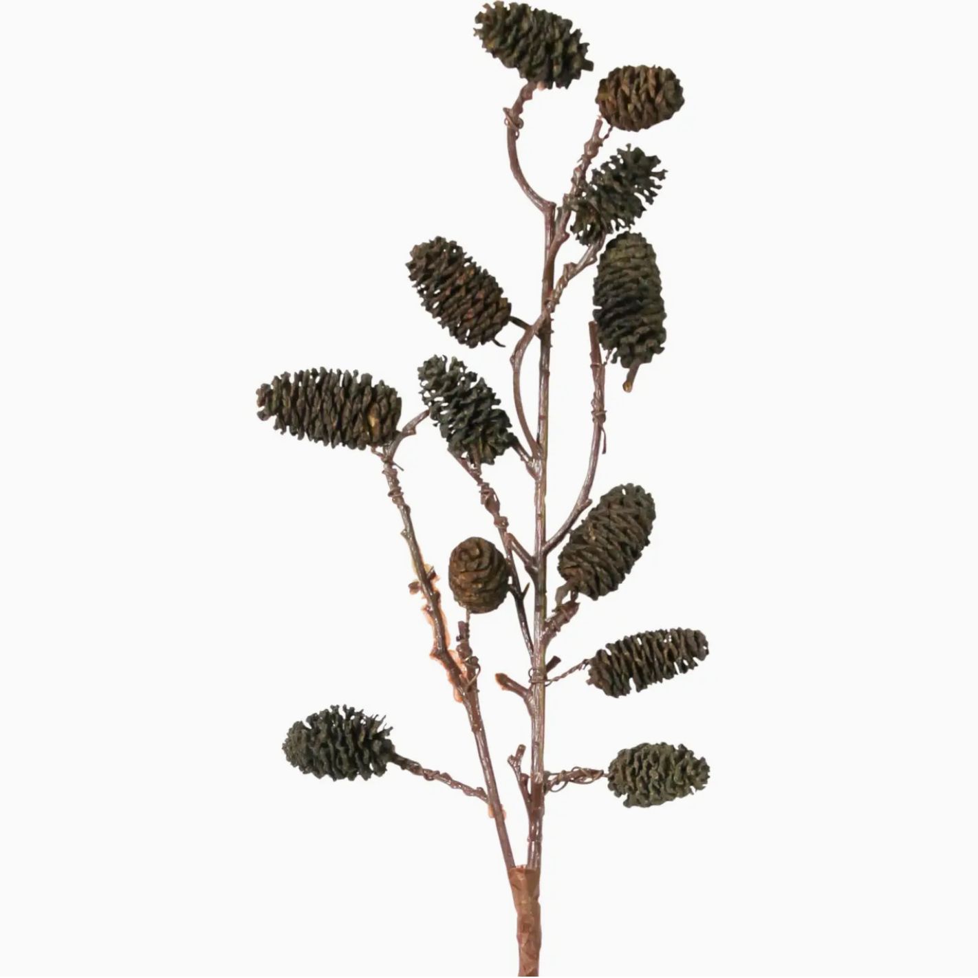 HomArt Botanical Stem - Seaside Alder (2841-0)
