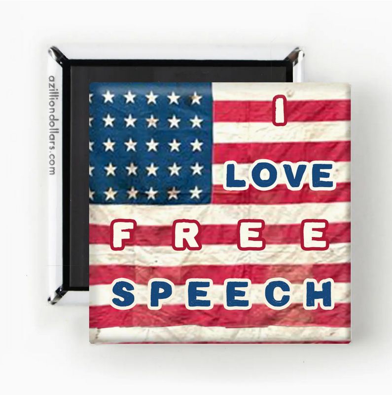 A Zillion Dollars I Love Free Speech Magnet M2076