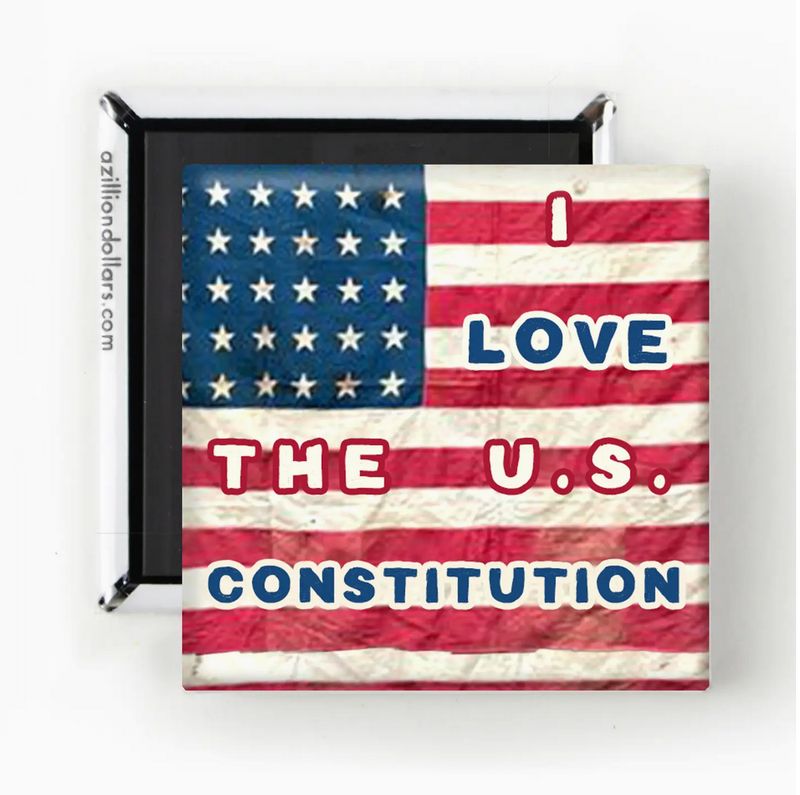 A Zillion Dollars I Love The U.S. Constitution Magnet M2078
