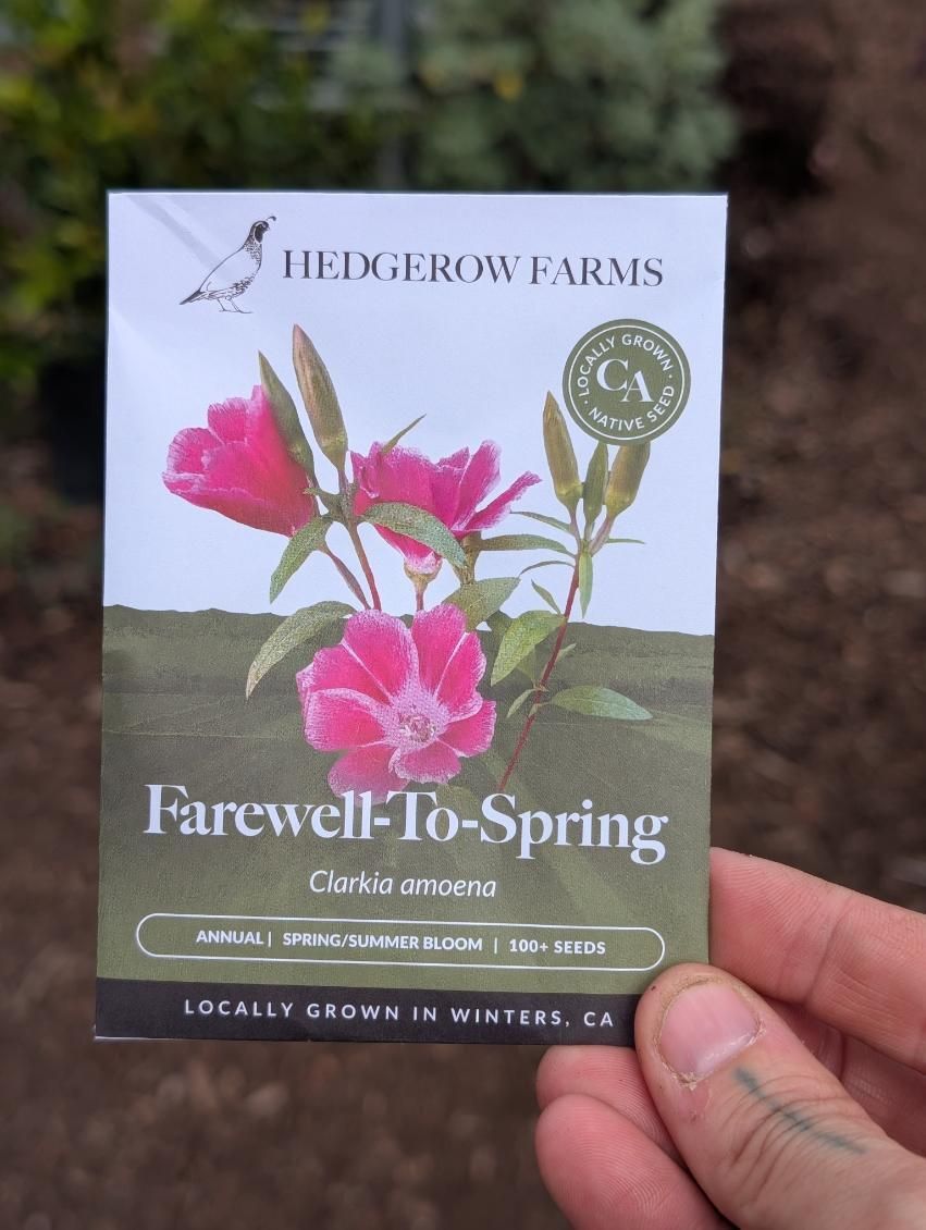 Hedgerow Farms Clarkia Farewell to Spring