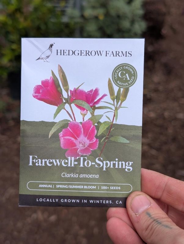Hedgerow Farms Clarkia Farewell to Spring